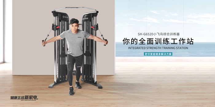 南宫NG28健身器材-小飞鸟综合训练器SH-G6520